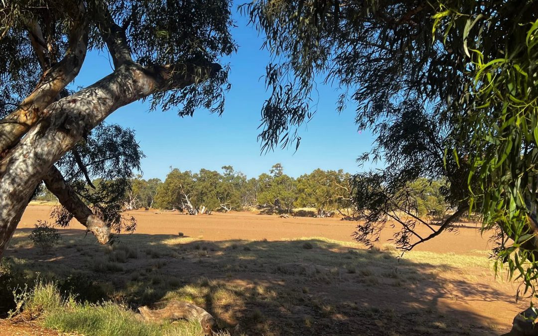 Kimberly coast and Gibb river 