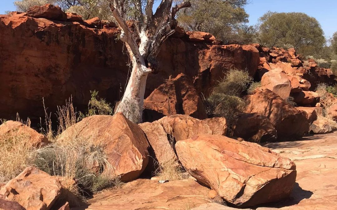 Mount Augustus Murchison and Shark Bay 